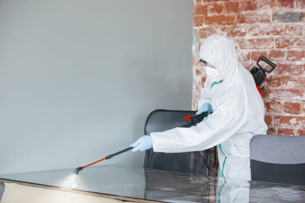  Fairmount, CO Mold Removal Services Pros